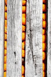 Granero, detalle - Baião