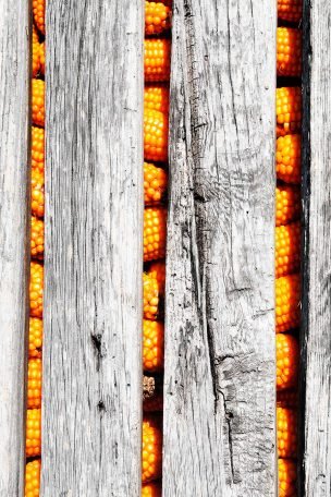 Granero, detalle - Baião