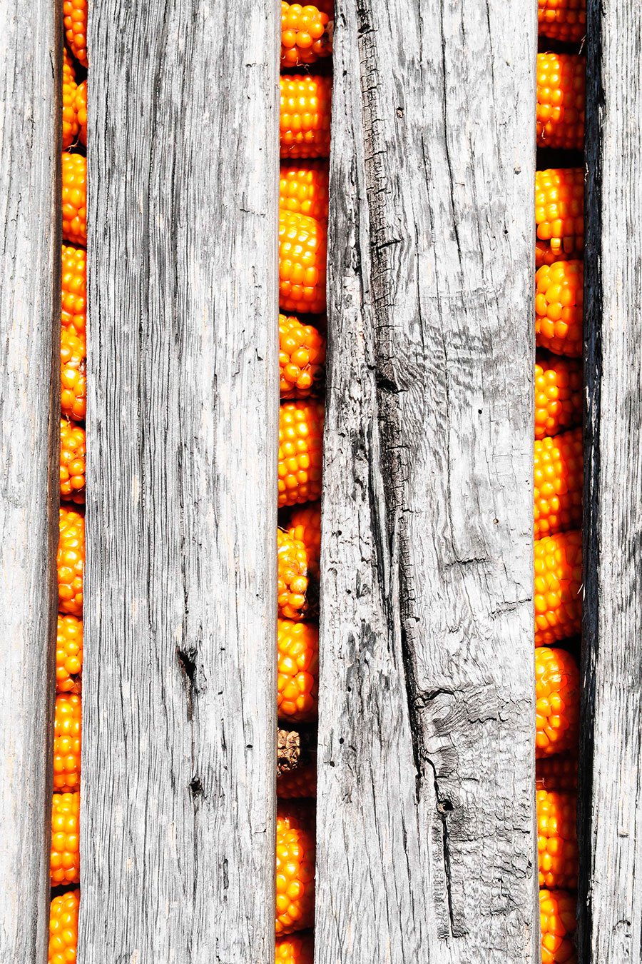Granary, detail - Baião
