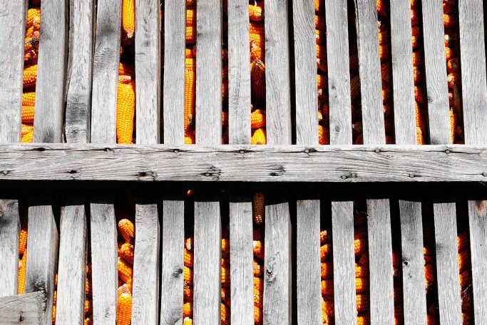 Grenier, détail - Baião