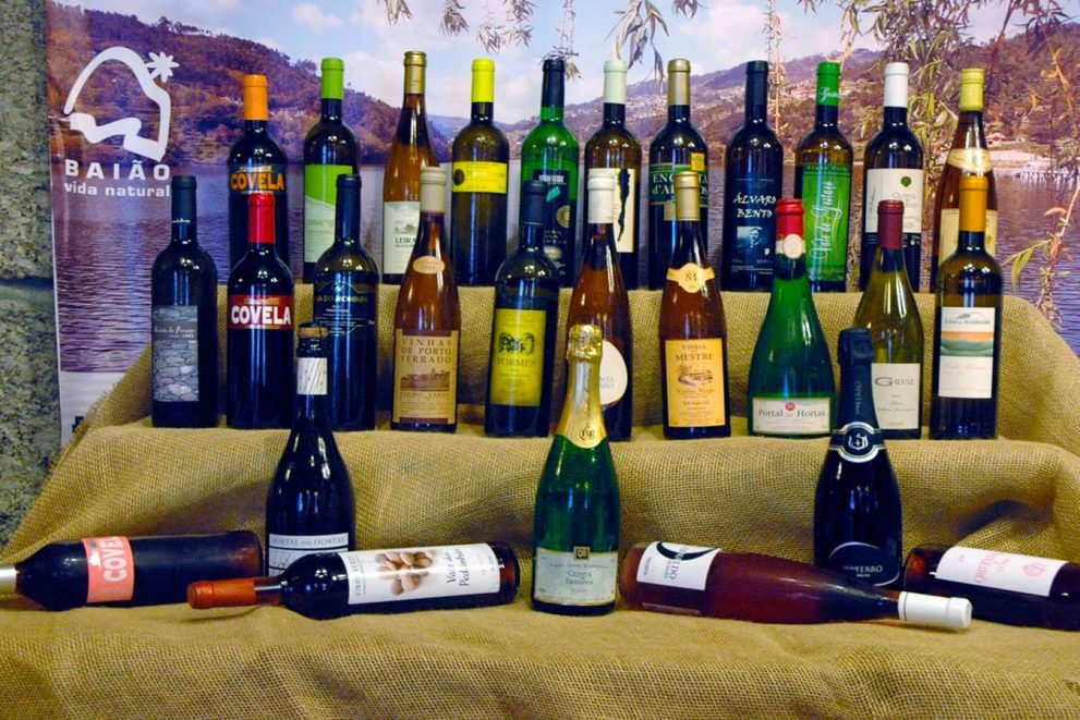 Vini - Baião