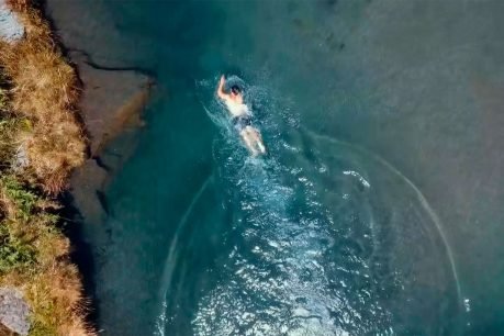 baiao_terra__aventura_3