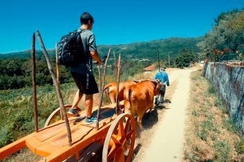 baiao_terra__aventura_5