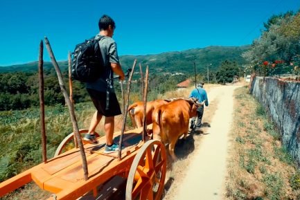 baiao_terra__aventura_5