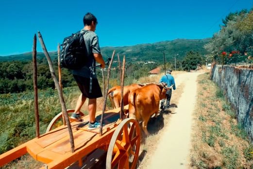 baiao_terra__aventura_5