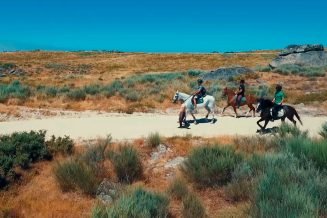 baiao_terra__aventura_6