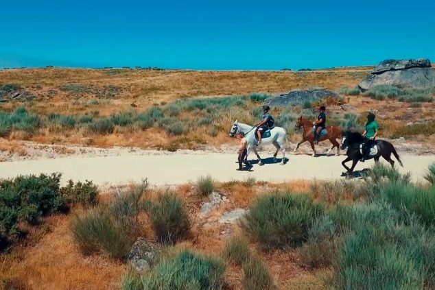 baiao_terra__aventura_6