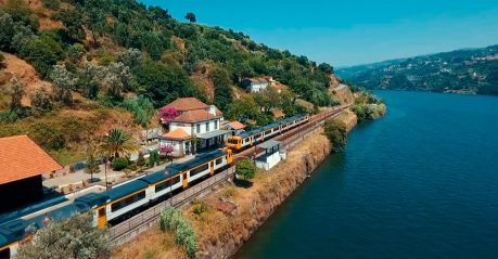 baiao_terra__aventura_banner_13