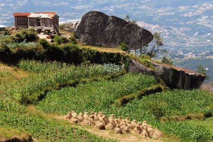 baiao_terra__aventura_percurso_trilho_norte_1