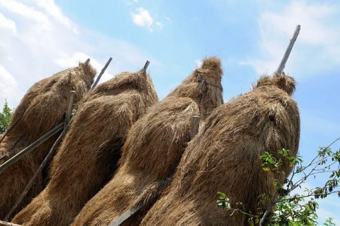 baiao_terra__aventura_percurso_trilho_norte_2