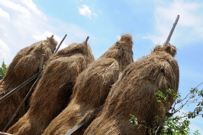 baiao_terra__aventura_percurso_trilho_norte_2