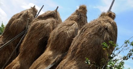 baiao_terra__aventura_percurso_trilho_norte_banner