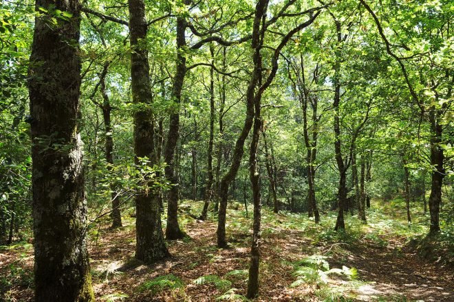 baiao_terra__aventura_percurso_trilho_sul