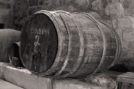 baiao_terra_cultura_civv_3