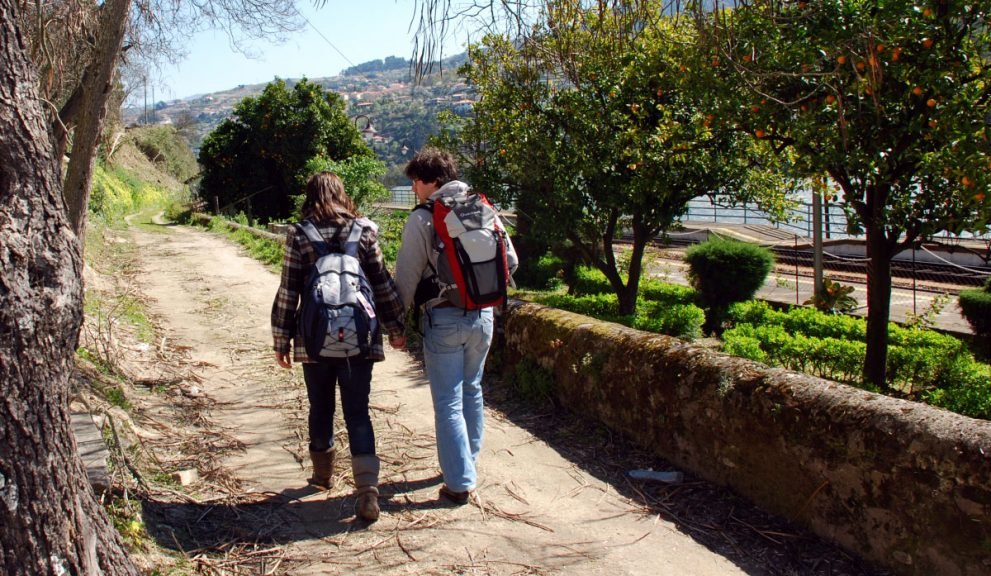 Jacinto Way, Fondazione Eça de Queiroz - Baião