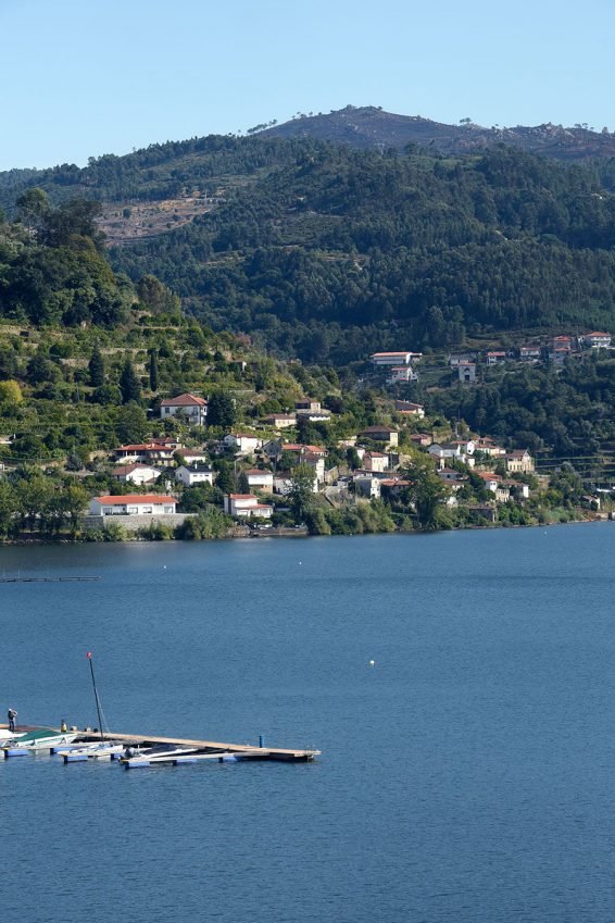 baiao_vida_natural_rio_douro_5