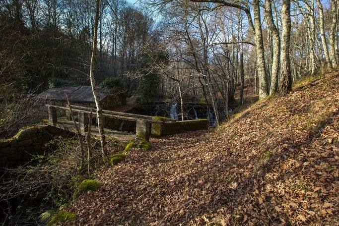 baiao_vida_natural_rio_ovil_3