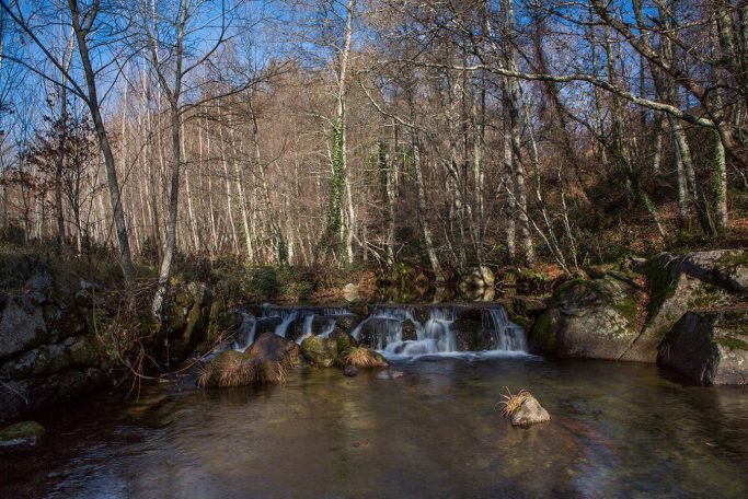 baiao_vida_natural_rio_ovil_5