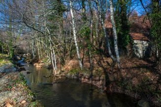 baiao_vida_natural_rio_ovil_6