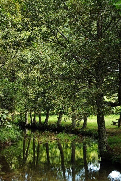 baiao_vida_natural_rio_ovil_8