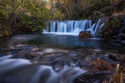 baiao_vida_natural_rio_teixeira_1