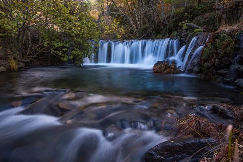 baiao_vida_natural_rio_teixeira_1