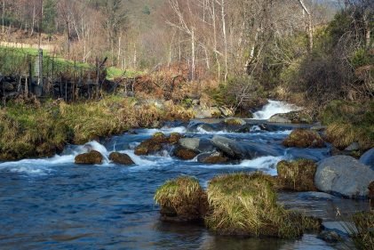 baiao_vida_natural_rio_teixeira_4