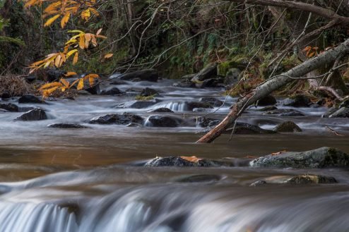baiao_vida_natural_rio_teixeira_5