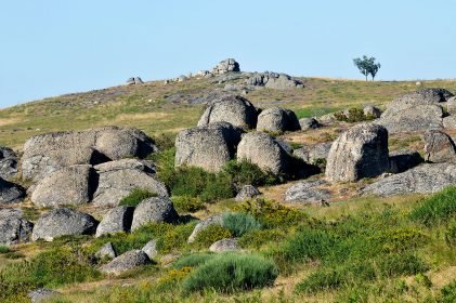 baiao_vida_natural_serra_aboboreira_7