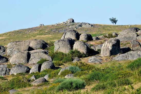 baiao_vida_natural_serra_aboboreira_7