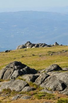 baiao_vida_natural_serra_aboboreira_8