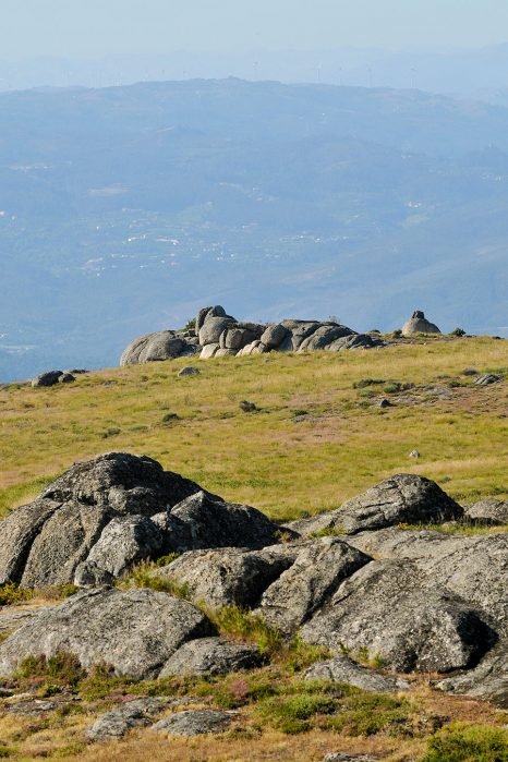 baiao_vida_natural_serra_aboboreira_8