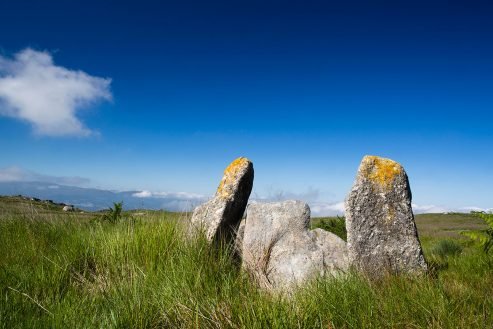 baiao_vida_natural_serra_aboboreira_9