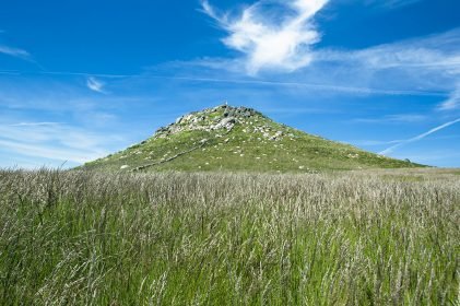 baiao_vida_natural_serra_castelo