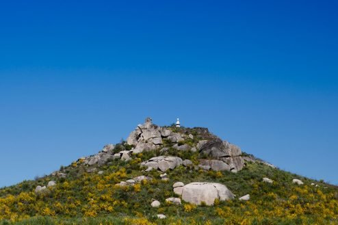 baiao_vida_natural_serra_castelo_1