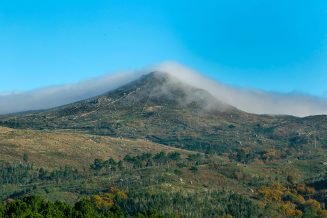 baiao_vida_natural_serra_castelo_2