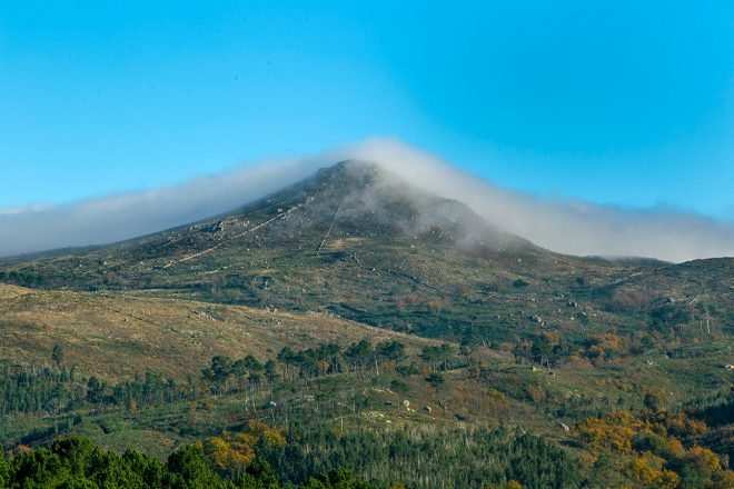 baiao_vida_natural_serra_castelo_2