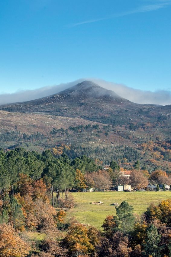 baiao_vida_natural_serra_castelo_4