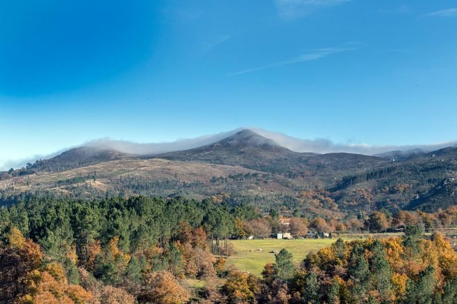 baiao_vida_natural_serra_castelo_5