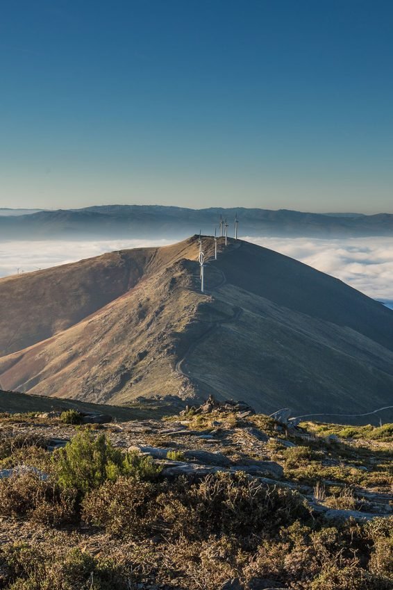 baiao_vida_natural_serra_marao_10