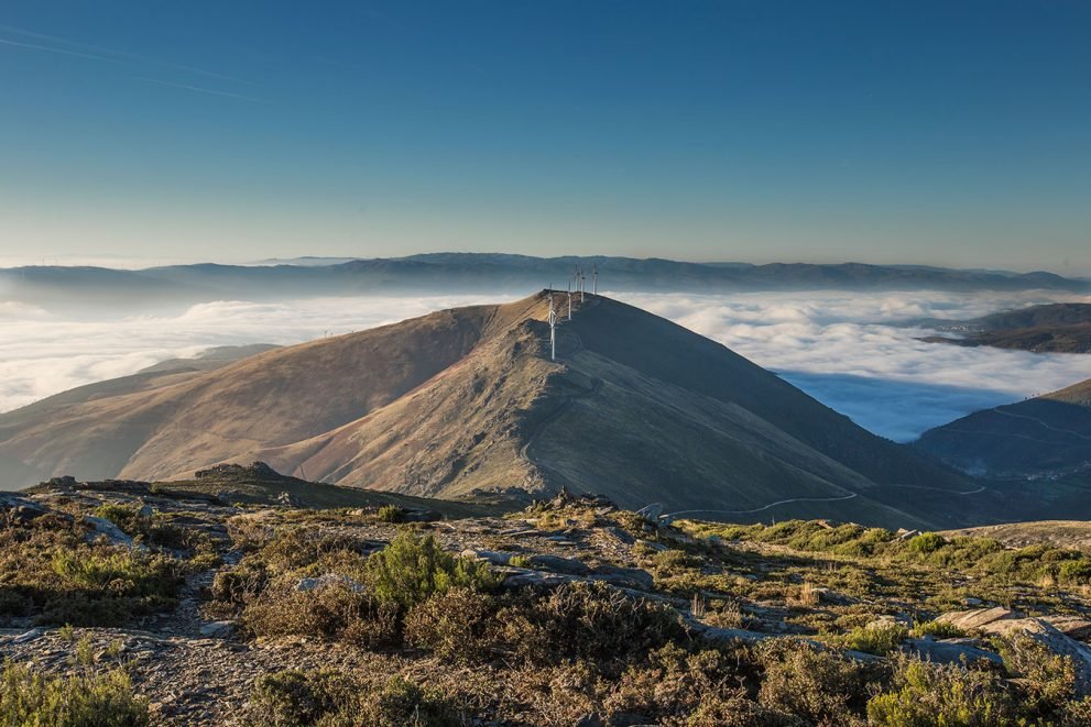 baiao_vida_natural_serra_marao_11