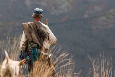 baiao_vida_natural_serra_marao_14