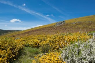 baiao_vida_natural_serra_marao_5