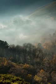 baiao_vida_natural_serra_marao_6