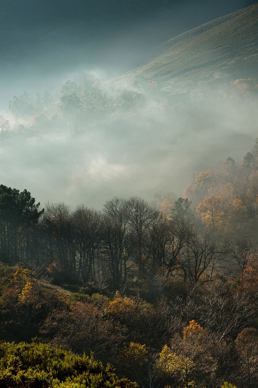 baiao_vida_natural_serra_marao_6