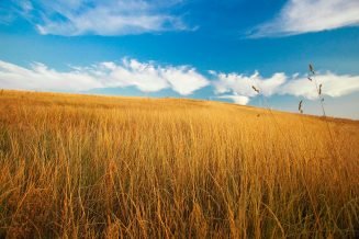 baiao_vida_natural_serra_marao_8