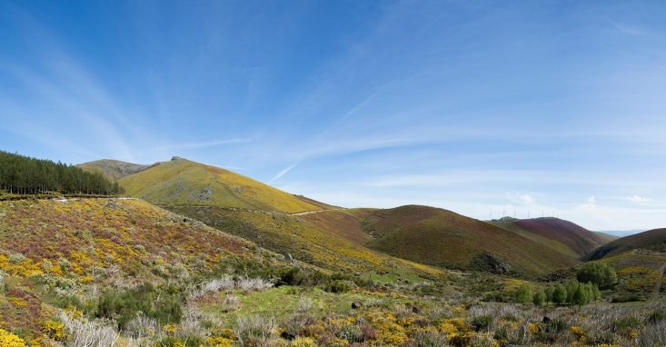 baiao_vida_natural_serra_marao_banner