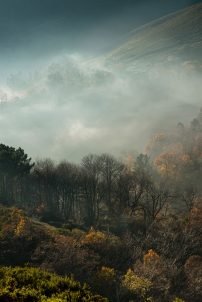 baiao_vida_natural_serra_marao_6